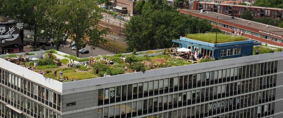 Een gebouw van enkele verdiepingen met bovenop een multifunctioneel dak met groen en recreatie
